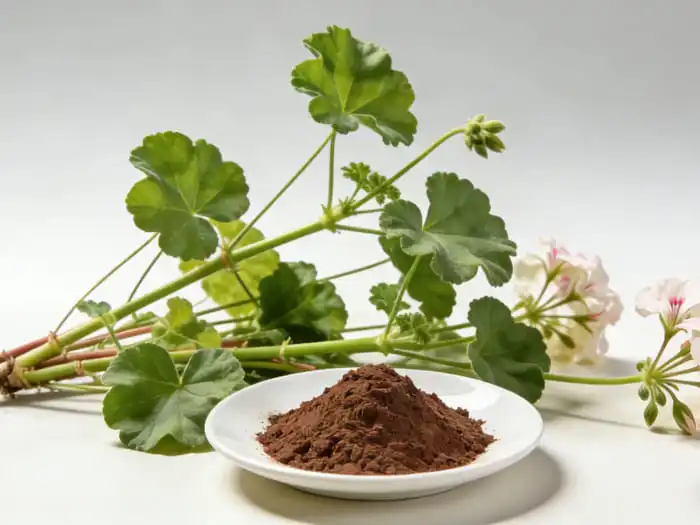 What Does Geranium Extract Do?